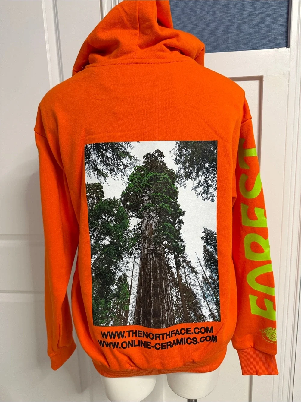The North Face x Online Ceramics Men's hoodie